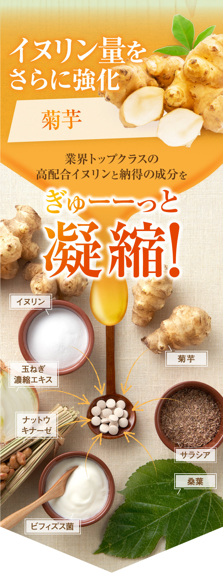 業界トップクラスの高配合イヌリンと納得の成分をぎゅーーっと凝縮!