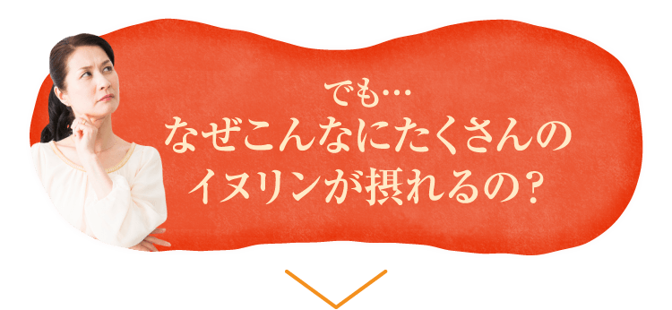 つまり、血糖値を抑えるためには、イヌリンを含んだ食材さえ食べればいいの?